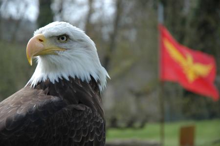 Fierté